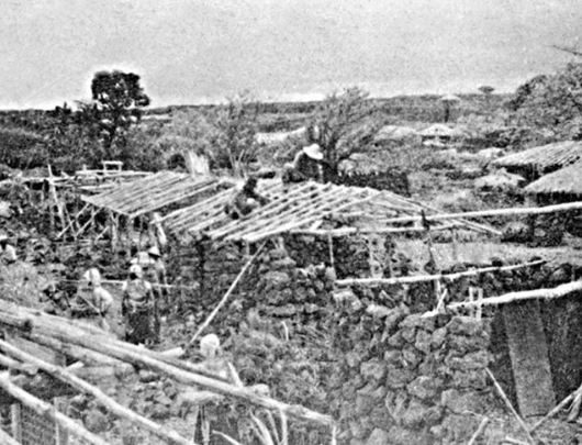 10년만에 종식 10년만에 종식