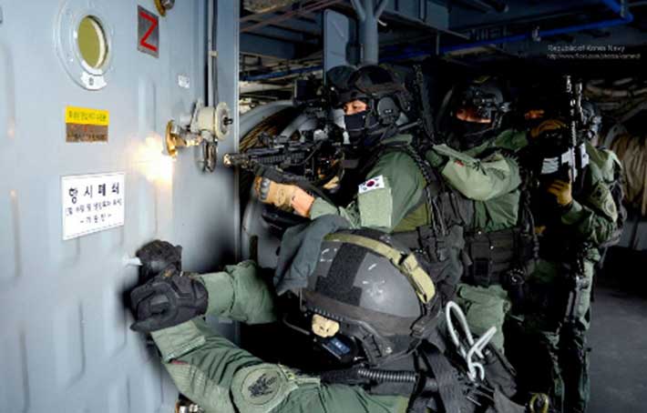 소말리아·UAE 파병 1년 연장하기로