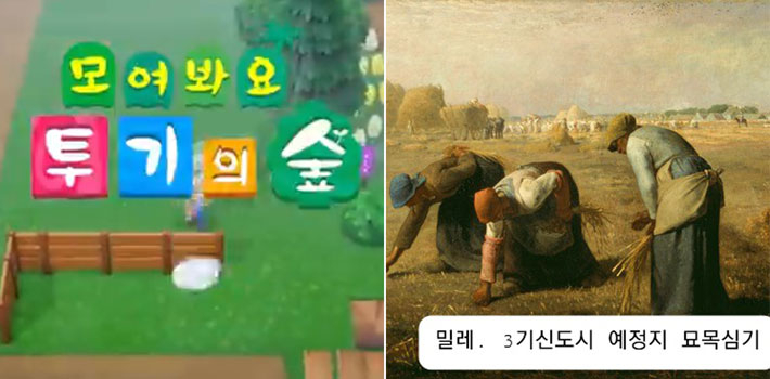 모여봐요 투기의 숲·밀레 묘목심기 등장